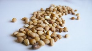 blog-title